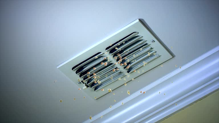 Best General Air Duct Cleaning  in Lexington, MS