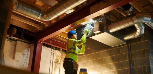 Best Air Duct Sanitizing Services  in Lexington, MS